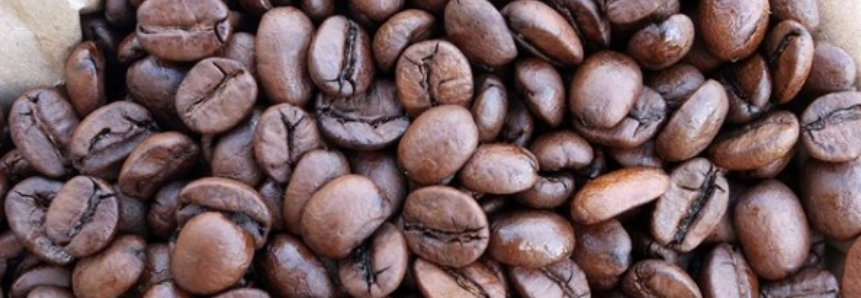 Cooxupé espera comercializar 6,2 milhões de sacas de café neste ano