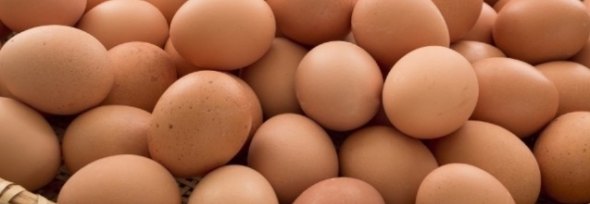 Preço do ovo vermelho tem pequeno retrocesso
