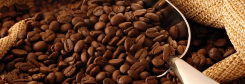 Café: Conab oferta cerca de 150 mil sacas da safra 2009/10 em leilão na próxima quinta-feira (9)