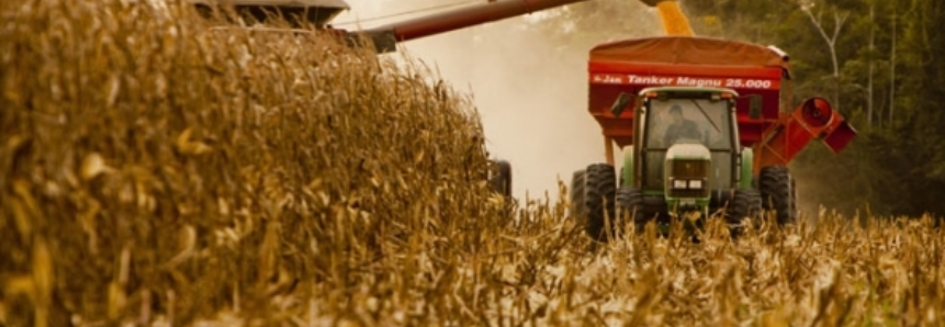 Colheita do milho chega aos 50% das lavouras no Rio Grande do Sul