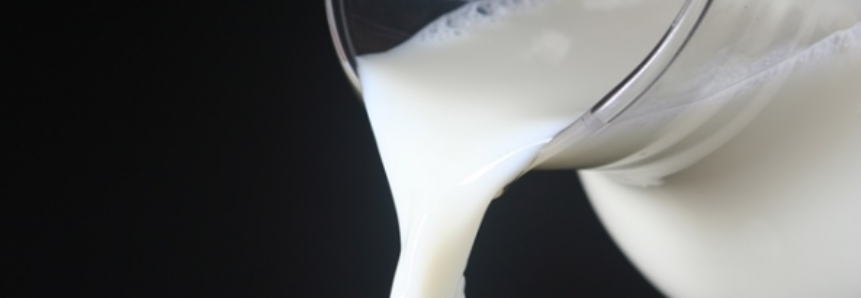 Preço do leite pago aos produtores subiu pelo quarto mês consecutivo no Uruguai