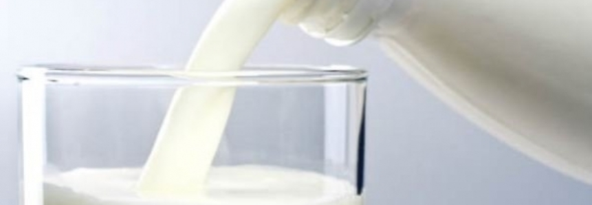 Custo de produção da atividade leiteira tem queda em fevereiro