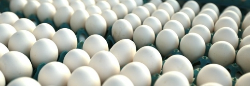 Ovos de galinha: distribuição da produção mundial