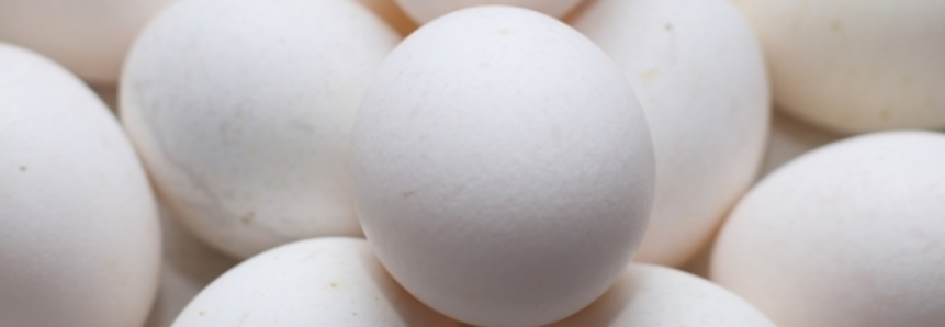 Ritmo lento no mercado de ovos, mas preços se mantiveram