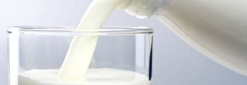 Leilão GDT: preços do leite em pó integral e desnatado saem da estabilidade para queda