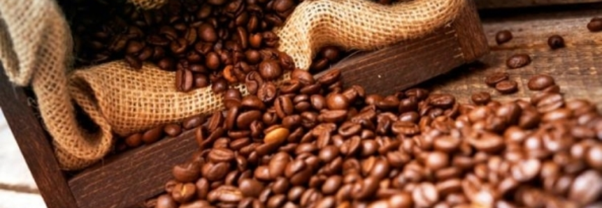 Mais 150 mil sacas de 60 kg de café vão a leilão pela Conab