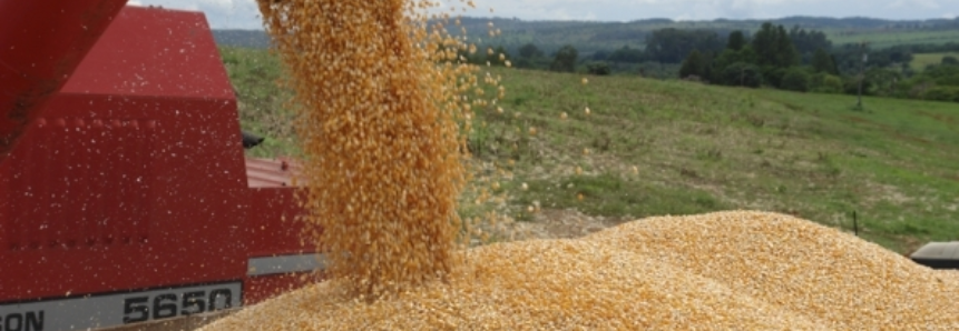 Bom desempenho do agronegócio impulsiona economia dos municípios