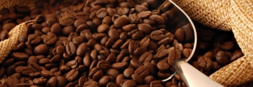 Conab leiloa mais 9 mil toneladas de café arábica