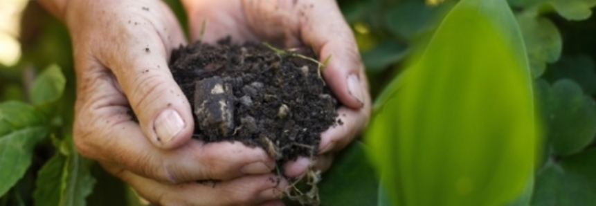 Importação de fertilizantes aumenta 190% em um ano