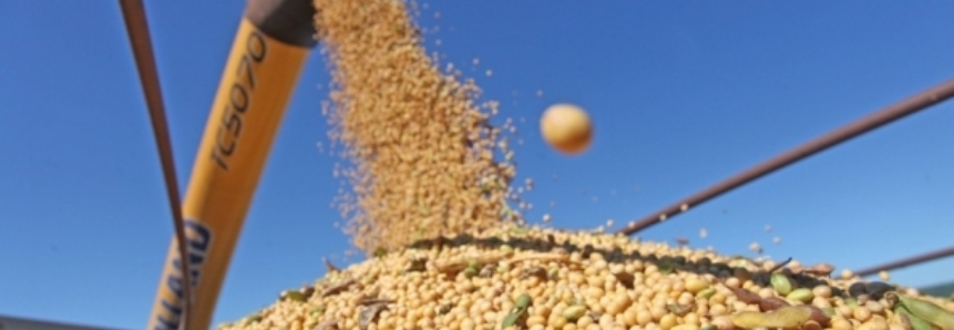 Esmagamento de soja na Argentina superou os 40 mi t em 2016, representando volume histórico