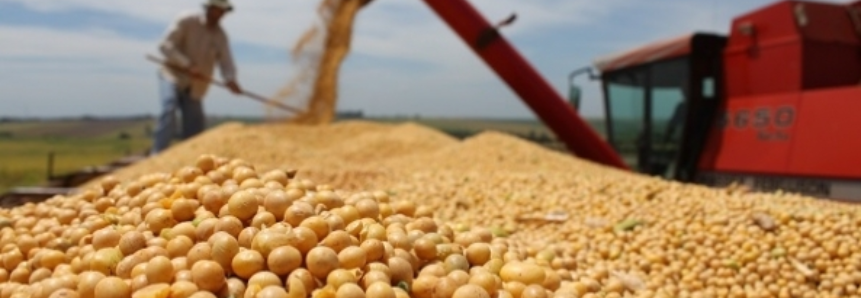 Colheita chega a 10% das lavouras de soja do estado, segundo Aprosoja/MS