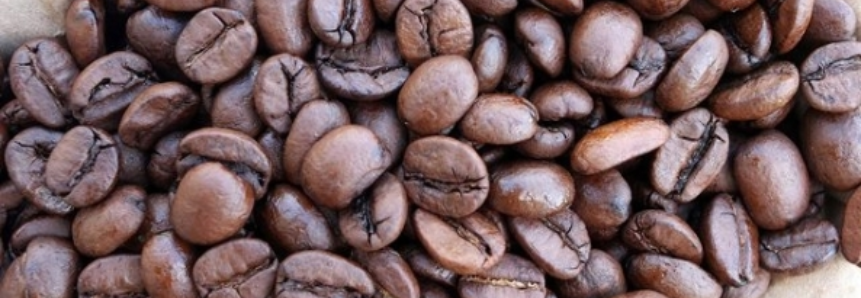 Brasil já colheu 25% da produção de café, em ritmo dentro da média