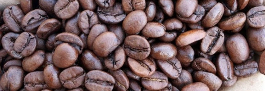 Café: Robusta sobe mais de R$ 7 por saca em uma semana