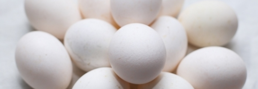 Mercado firme pode propiciar novas altas nos ovos