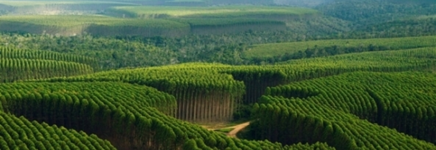 Agricultura lidera preservação no Brasil