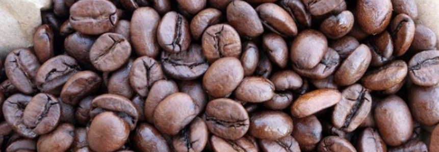 Colheita de café no Brasil avança para 19%, informa Safras & Mercado