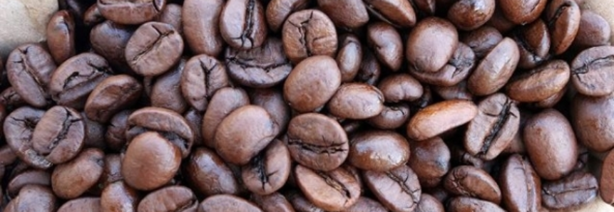 Café: arábica inicia sexta em queda em NY, com primeiros vencimentos abaixo de US$1,30/lb