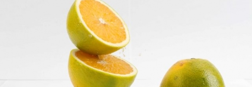 Citrus: Indústrias de SP aumentam ritmo de processamento
