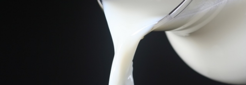 Preço do leite pago ao produtor está em alta no Uruguai