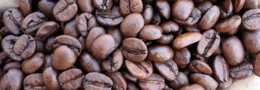 Brasil: mercado interno do café arábica segue com negócios lentos