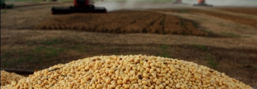 Brasil deve manter área de soja na próxima safra, estima Aprosoja Brasil