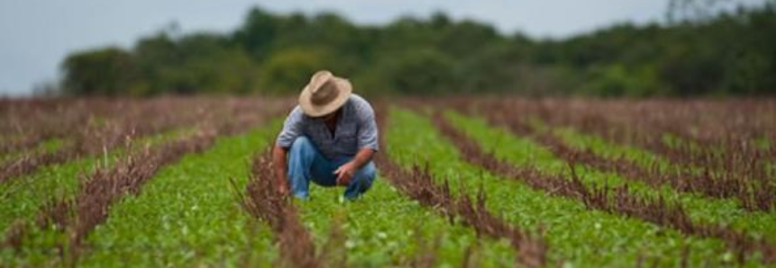 Banco Central autoriza renegociação das operações de Crédito Rural de custeio e investimento para produtores rurais afetados pela seca