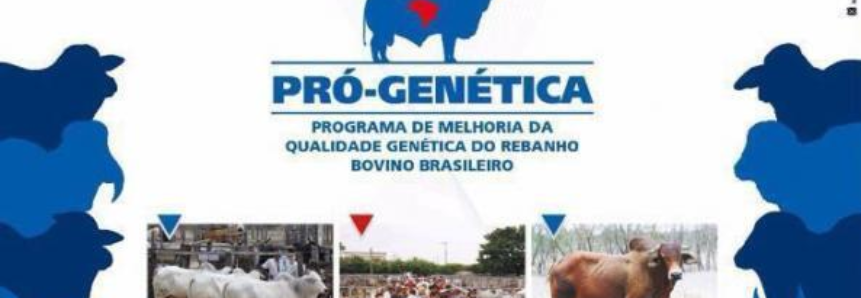 Goiás Genética tem abertura oficial nesta terça-feira (6)