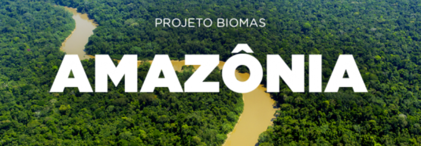 Projeto auxilia na preservação e recuperação do bioma Amazônia
