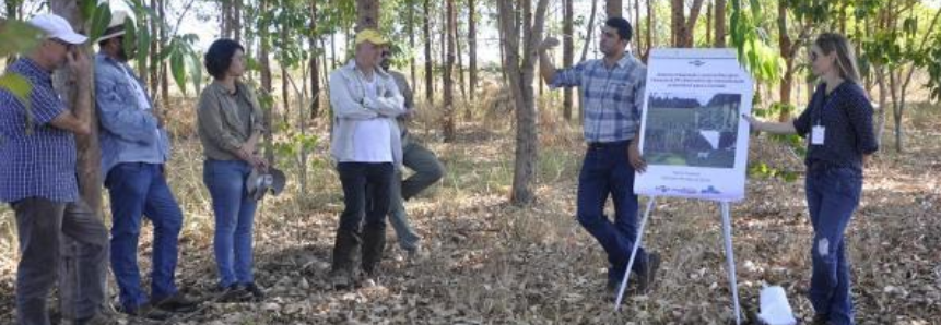 Visitas a campo encerram curso de recomposição da vegetação no Cerrado