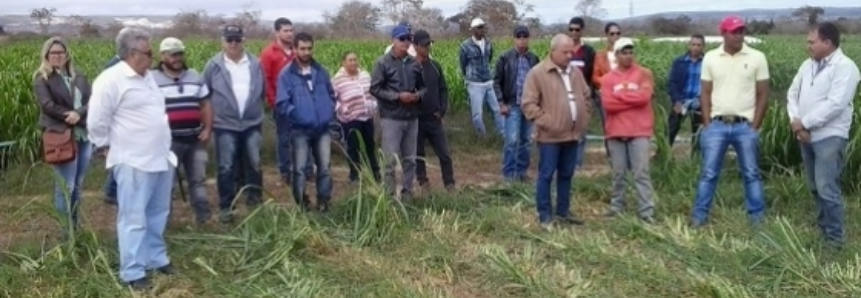 Produtores baianos conhecem exemplo de produtividade na região sudoeste do estado