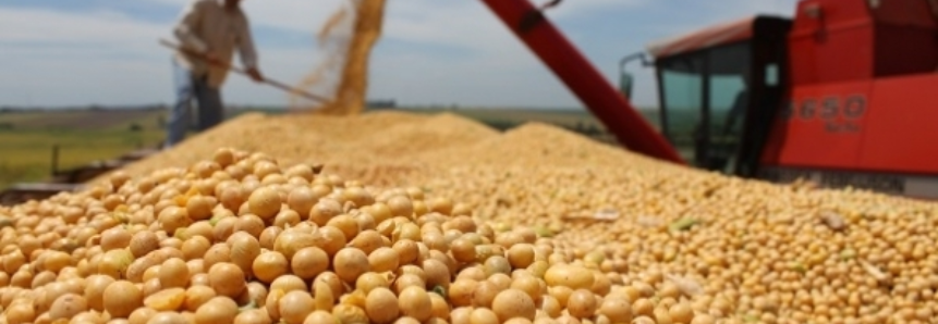Em Chicago, mercado da soja ainda espera pelos números do USDA e trabalha com estabilidade nesta 5ª