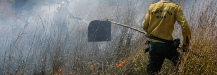 SENAR/MS participa do Três Lagoas Florestal com oficinas de prevenção a incêndios