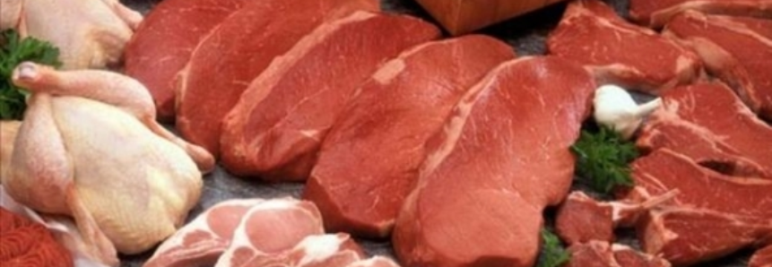 Brasil exporta 63,1 mil toneladas de carne bovina in natura até a terceira semana de março