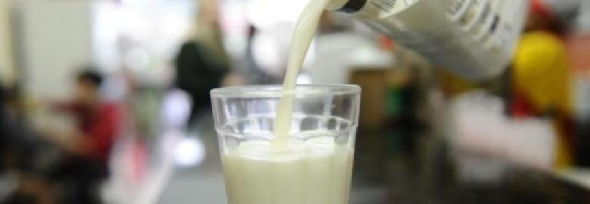 Bom momento para o leite em Mato Grosso do Sul; Preços em alta