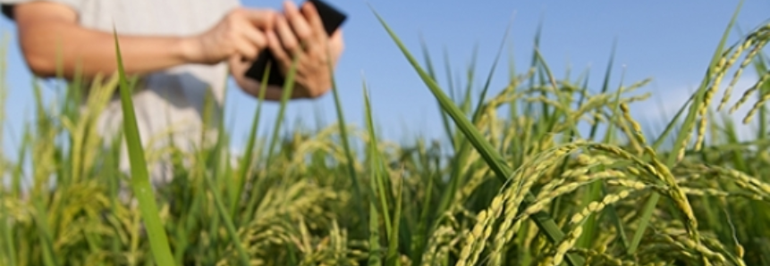 SENAR da Paraíba promove primeiro encontro de tutores do curso Técnico em Agronegócio