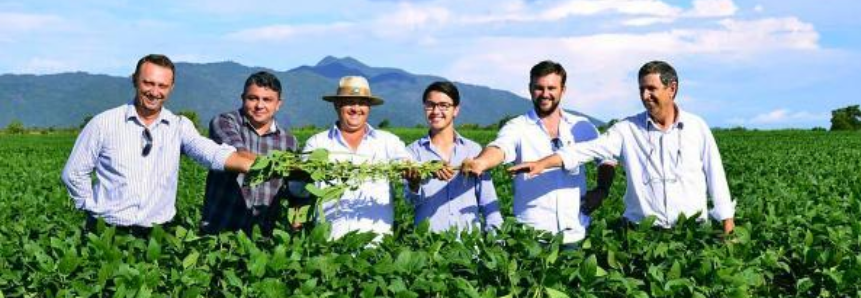 Produtores rurais de Roraima esperam colher 72 mil toneladas de soja este ano