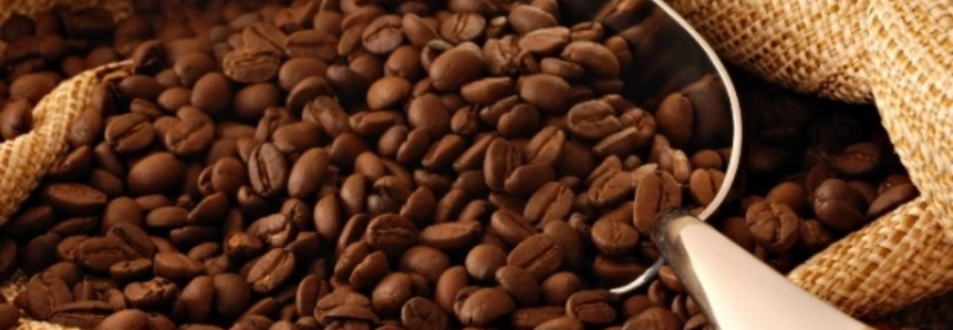 Conab vende mais de 146 mil sacas de café arábica em último leilão