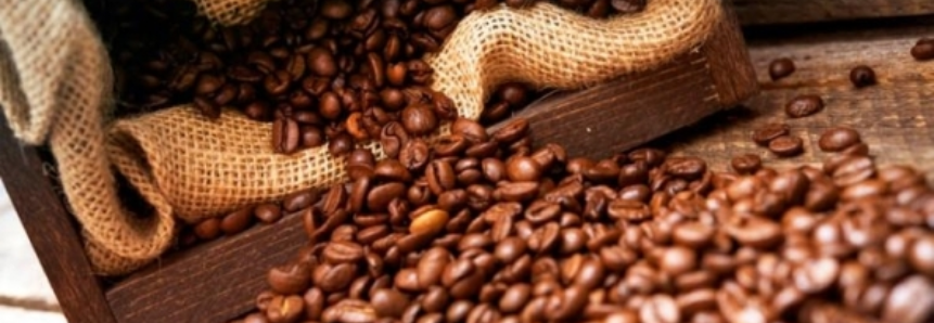 Mercado do café arábica em NY inicia 3ª com leves quedas nos principais vencimentos