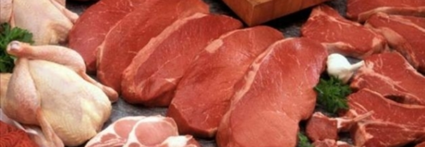 Desempenho externo das carnes na segunda semana de março