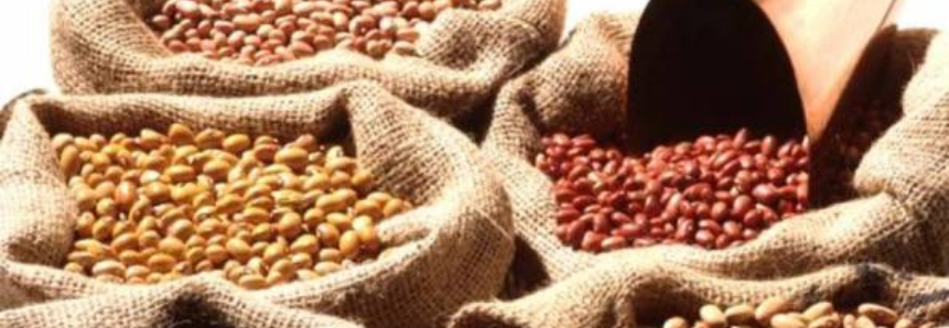 Custos de produção da soja, milho e feijão aumentaram de 15% a 20% na última safra
