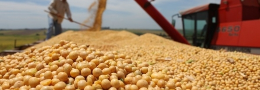 Colheita da soja no Brasil ultrapassa metade da área