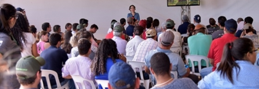 Com dia de campo, produtor de Nioaque tira dúvidas e pensa em investimentos em florestas