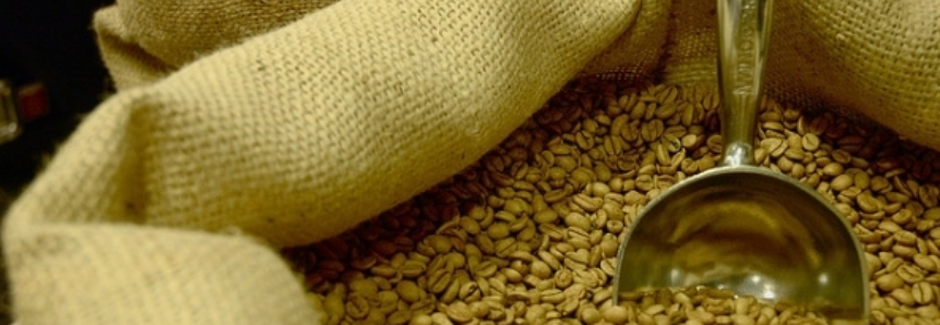 Exportação de café verde do país cai 15% em fevereiro; robusta sente impacto de seca
