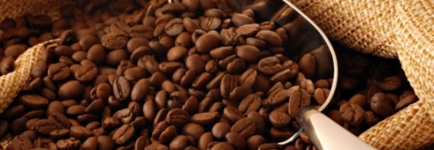 Leilão da Conab para venda de café oferta mais 8,8 mil t do produto