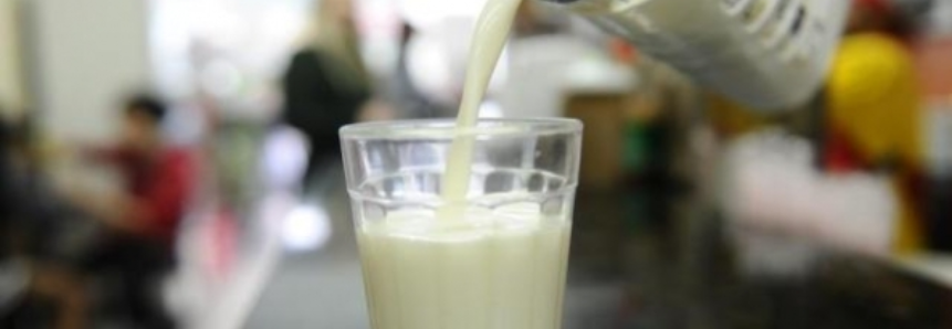 Leilão GDT: preços dos leites em pó caem significativamente