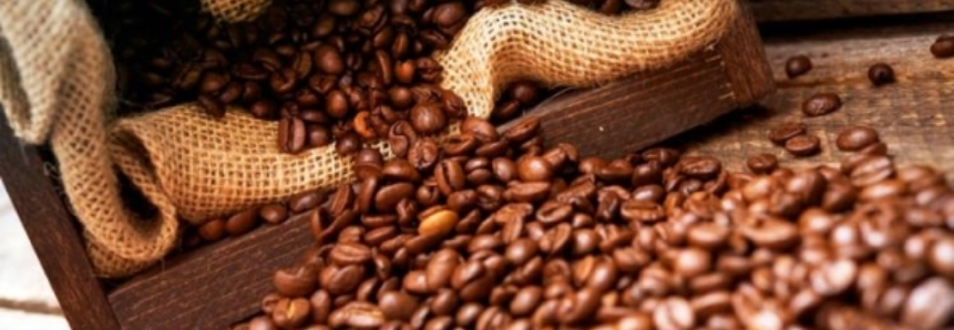 Café: Bolsa de Nova York estende nesta 2ª feira em 100 pts perdas da véspera