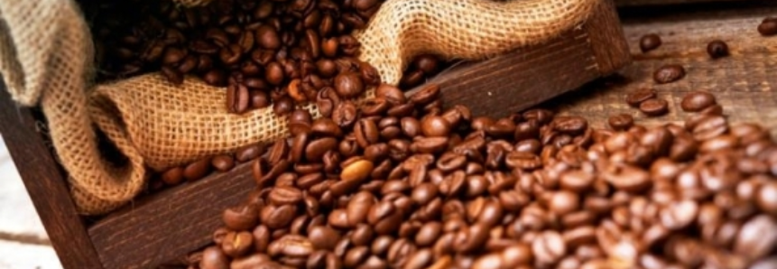 Café: Bolsa de NY recua cerca de 100 pts nesta 2ª e vencimentos ficam abaixo de US$ 1,45/lb