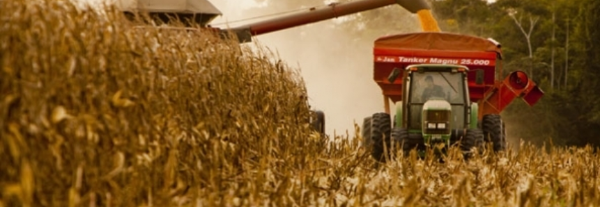 Mercado de soja, milho e trigo no PR terão preços mais estáveis este ano