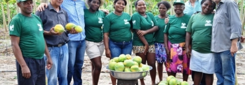 Produtores maranhenses viram empreendedores após capacitações do SENAR