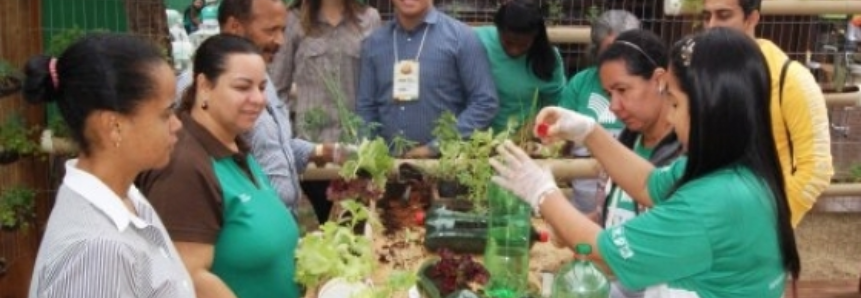 SENAR-MT lança oficinas de Horta Vertical e IN 62- Qualidade do Leite na Expoagro